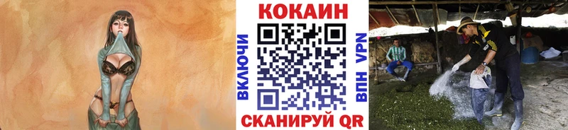 КОКАИН Fish Scale  купить наркотик  Партизанск 