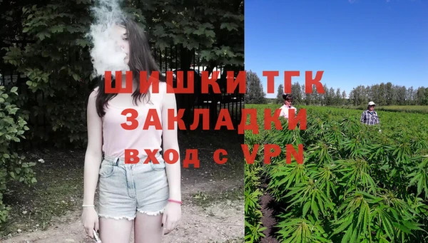 эйфоретик Аша